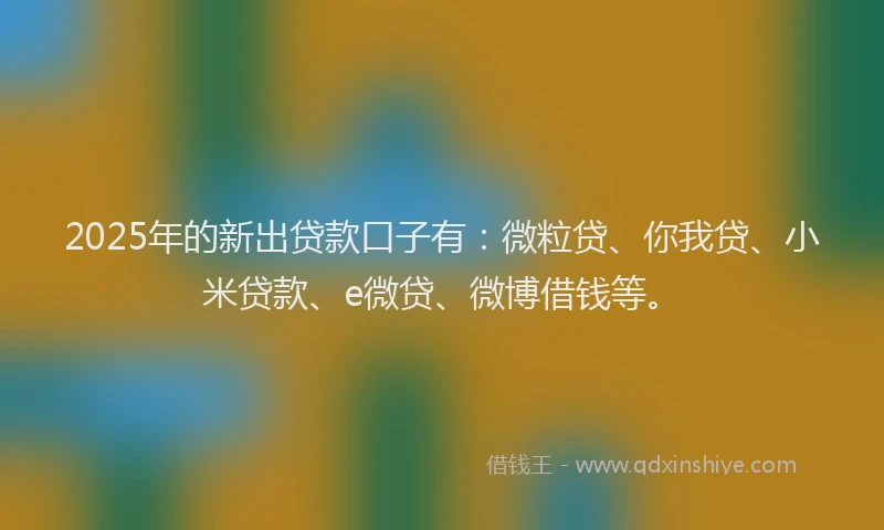 2025年的新出贷款口子有：微粒贷、你我贷、小米贷款、e微贷、微博借钱等。