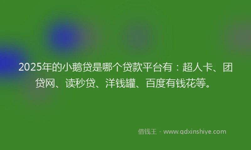 2025年的小鹅贷是哪个贷款平台有：超人卡、团贷网、读秒贷、洋钱罐、百度有钱花等。
