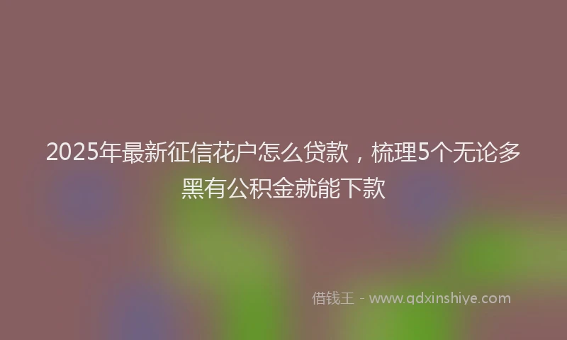 2025年最新征信花户怎么贷款，梳理5个无论多黑有公积金就能下款