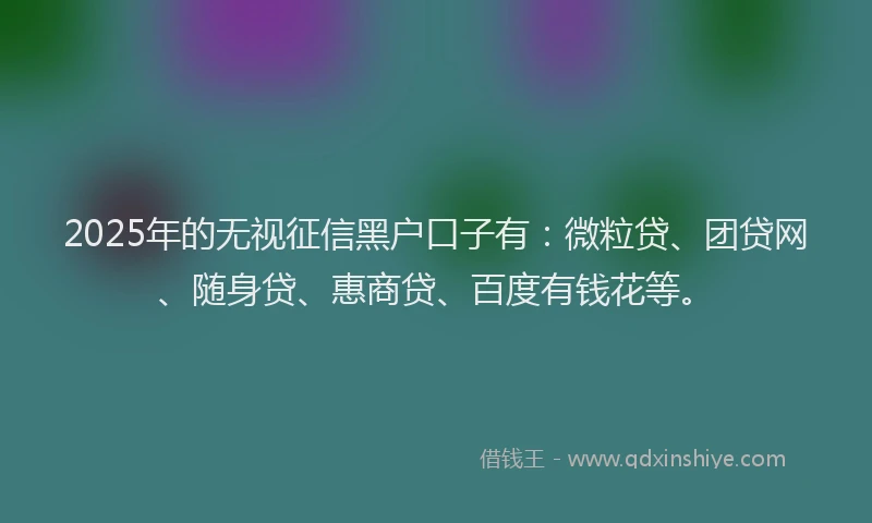2025年的无视征信黑户口子有：微粒贷、团贷网、随身贷、惠商贷、百度有钱花等。