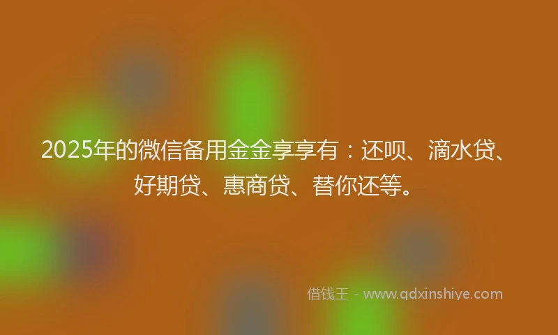 2025年的微信备用金金享享有：还呗、滴水贷、好期贷、惠商贷、替你还等。