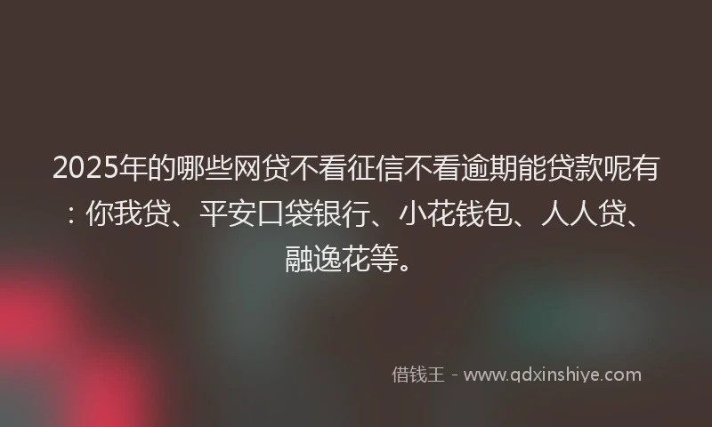 2025年的哪些网贷不看征信不看逾期能贷款呢有：你我贷、平安口袋银行、小花钱包、人人贷、融逸花等。