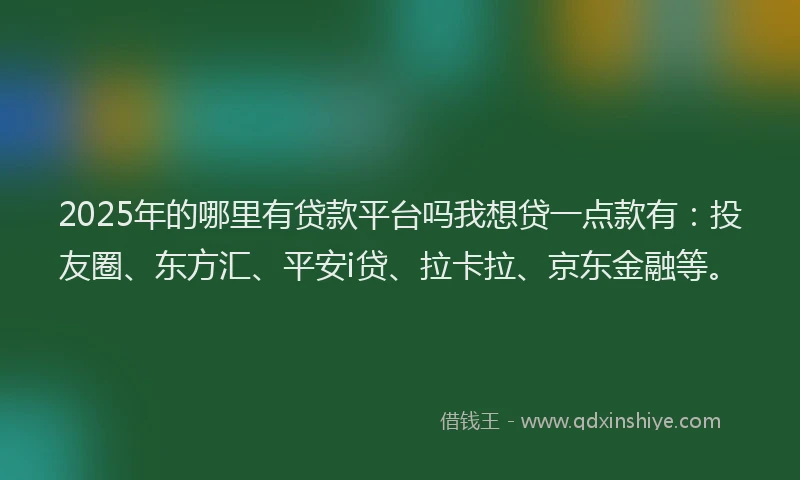 2025年的哪里有贷款平台吗我想贷一点款有：投友圈、东方汇、平安i贷、拉卡拉、京东金融等。