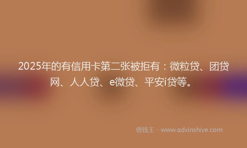 2025年的有信用卡第二张被拒有：微粒贷、团贷网、人人贷、e微贷、平安i贷等。