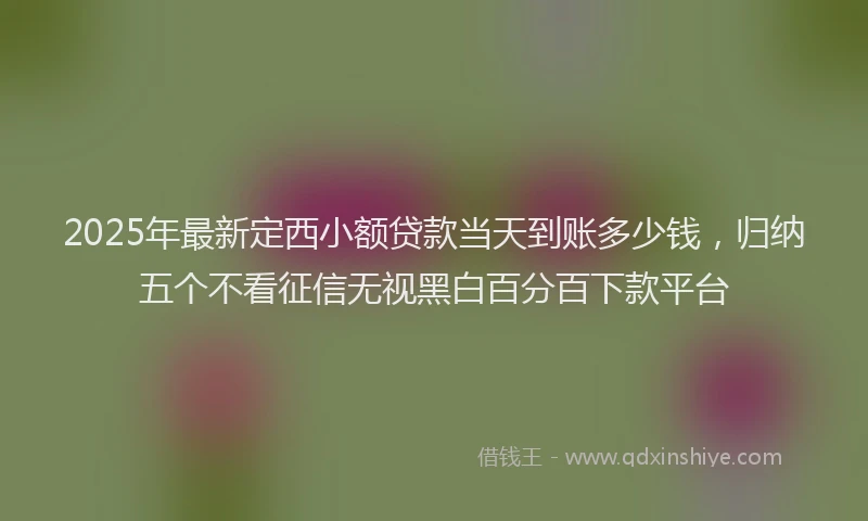 2025年最新定西小额贷款当天到账多少钱，归纳五个不看征信无视黑白百分百下款平台