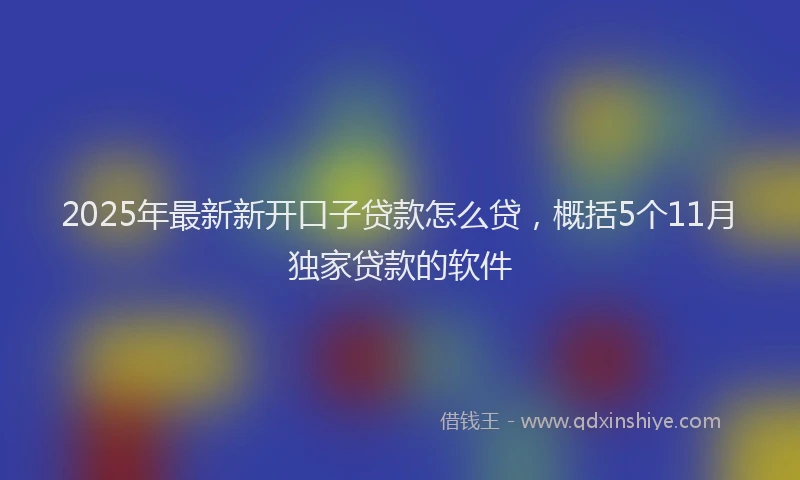 2025年最新新开口子贷款怎么贷，概括5个11月独家贷款的软件