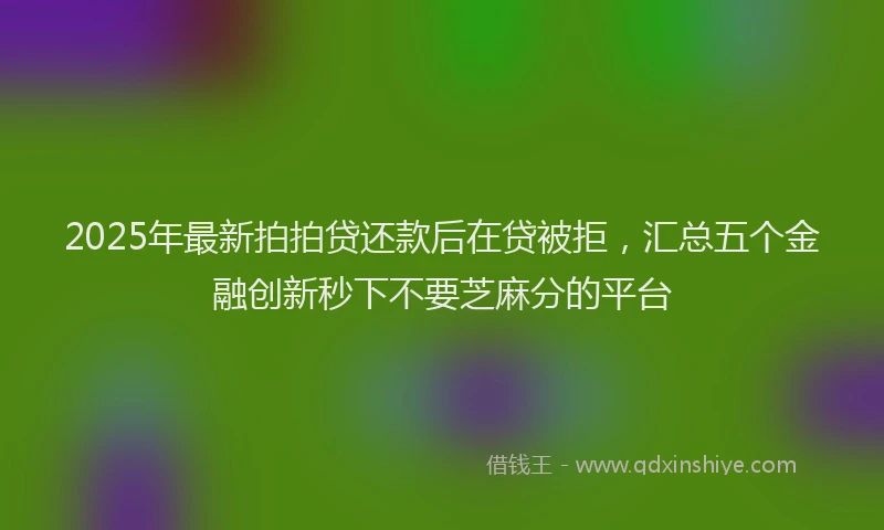 2025年最新拍拍贷还款后在贷被拒，汇总五个金融创新秒下不要芝麻分的平台