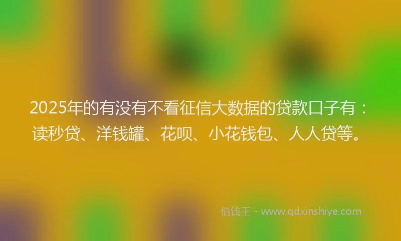 2025年的有没有不看征信大数据的贷款口子有：读秒贷、洋钱罐、花呗、小花钱包、人人贷等。