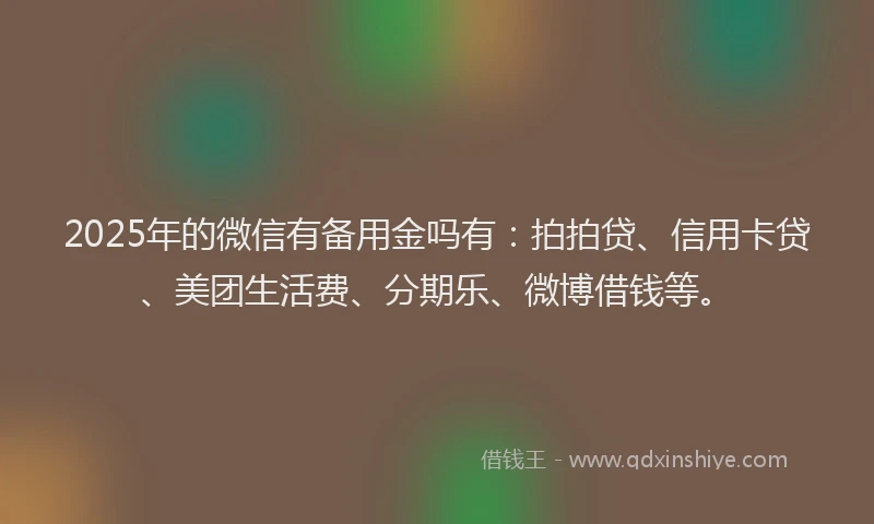 2025年的微信有备用金吗有：拍拍贷、信用卡贷、美团生活费、分期乐、微博借钱等。