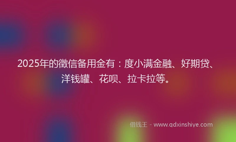 2025年的徵信备用金有：度小满金融、好期贷、洋钱罐、花呗、拉卡拉等。