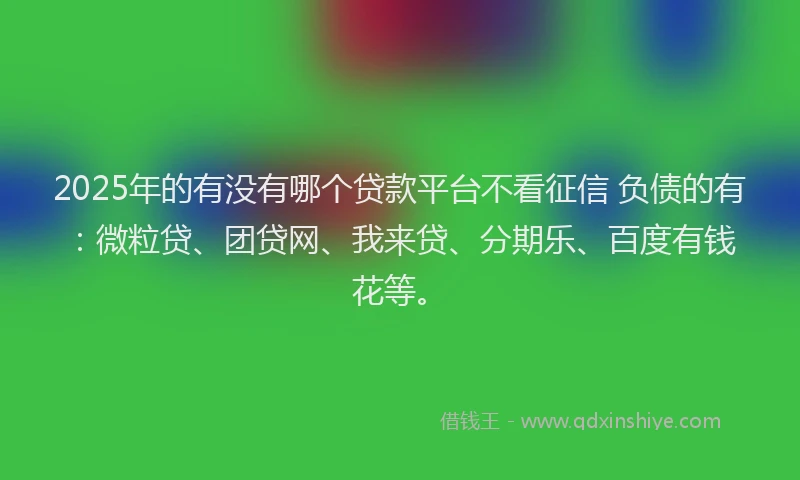 2025年的有没有哪个贷款平台不看征信 负债的有：微粒贷、团贷网、我来贷、分期乐、百度有钱花等。