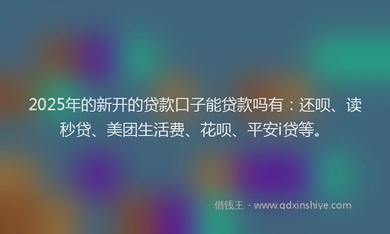2025年的新开的贷款口子能贷款吗有：还呗、读秒贷、美团生活费、花呗、平安i贷等。