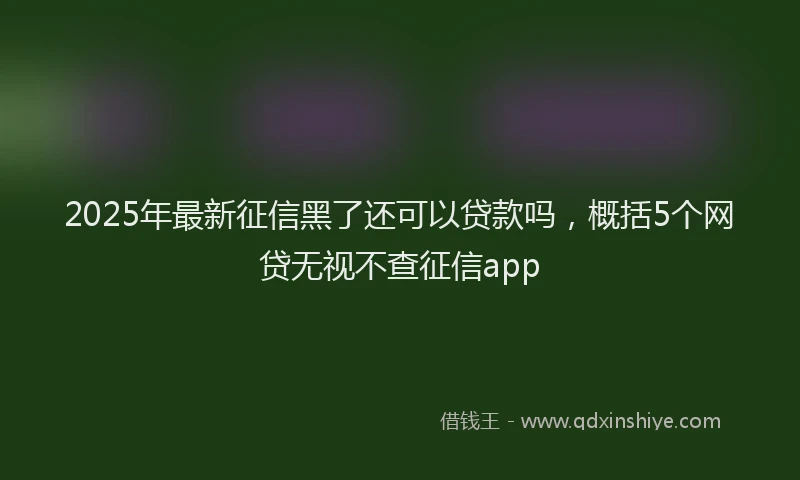 2025年最新征信黑了还可以贷款吗，概括5个网贷无视不查征信app
