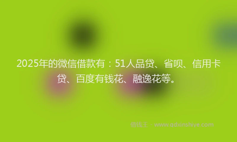 2025年的微信借款有：51人品贷、省呗、信用卡贷、百度有钱花、融逸花等。
