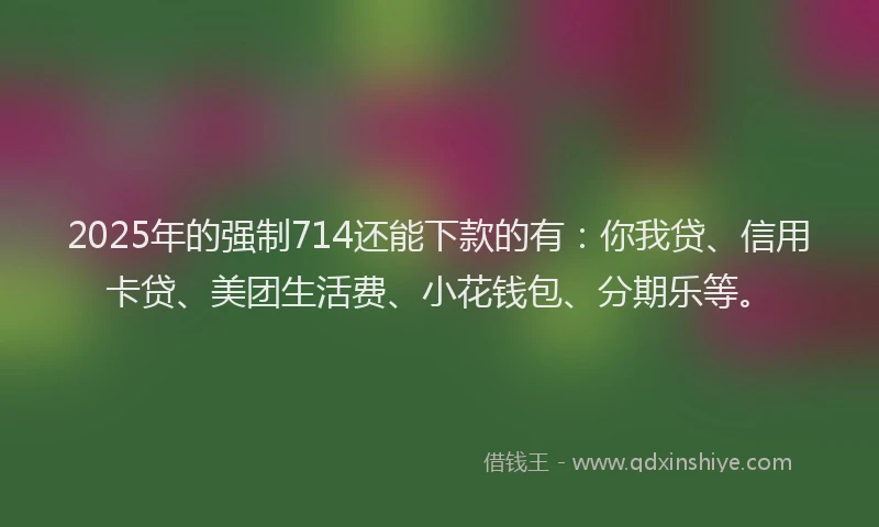 2025年的强制714还能下款的有：你我贷、信用卡贷、美团生活费、小花钱包、分期乐等。