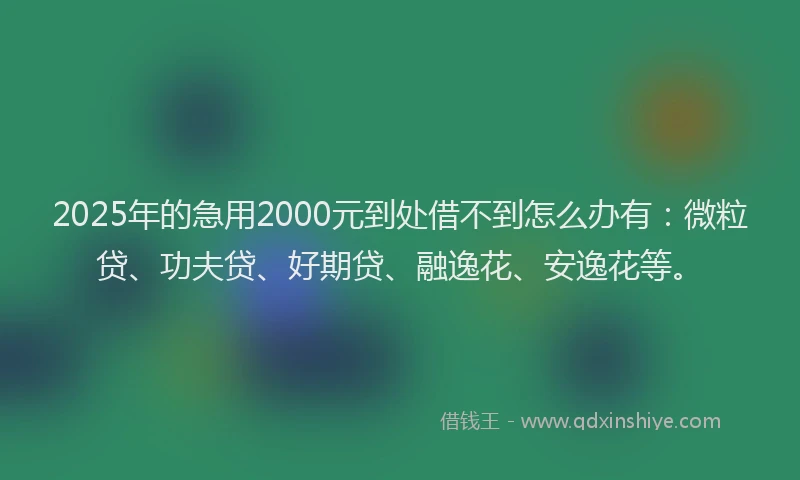 2025年的急用2000元到处借不到怎么办有：微粒贷、功夫贷、好期贷、融逸花、安逸花等。