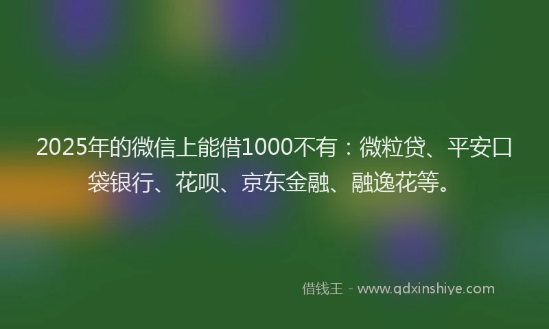 2025年的微信上能借1000不有：微粒贷、平安口袋银行、花呗、京东金融、融逸花等。