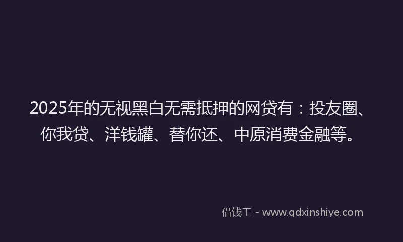 2025年的无视黑白无需抵押的网贷有：投友圈、你我贷、洋钱罐、替你还、中原消费金融等。
