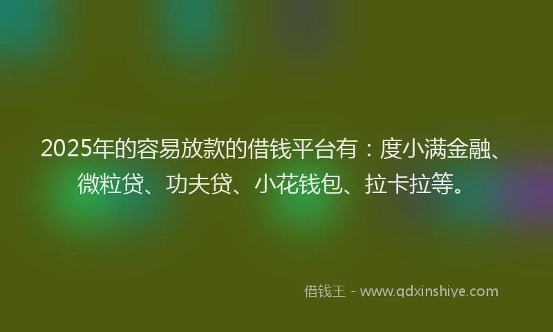 2025年的容易放款的借钱平台有：度小满金融、微粒贷、功夫贷、小花钱包、拉卡拉等。