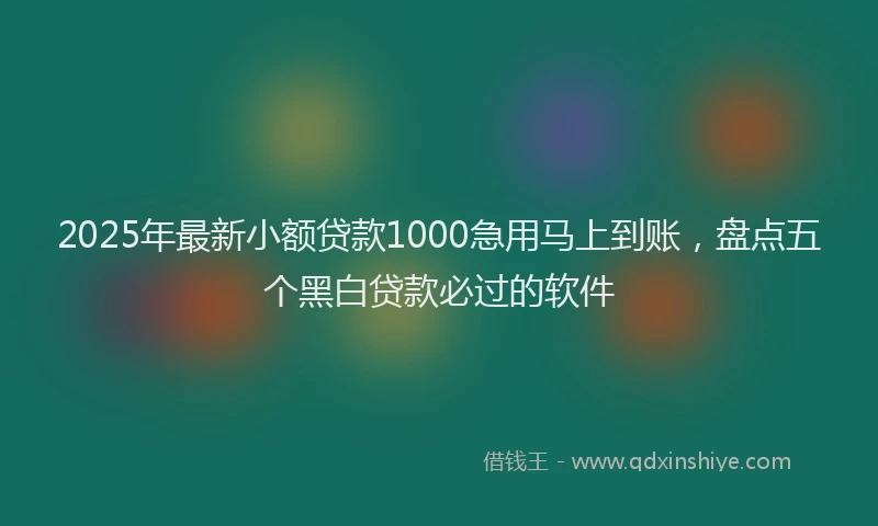 2025年最新小额贷款1000急用马上到账，盘点五个黑白贷款必过的软件