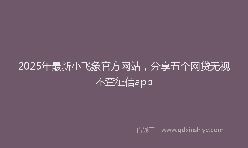 2025年最新小飞象官方网站，分享五个网贷无视不查征信app