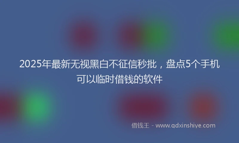 2025年最新无视黑白不征信秒批，盘点5个手机可以临时借钱的软件