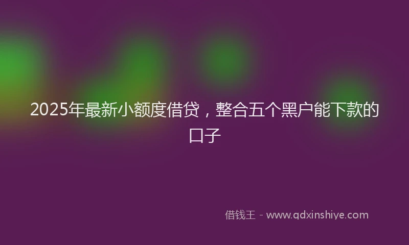 2025年最新小额度借贷，整合五个黑户能下款的口子