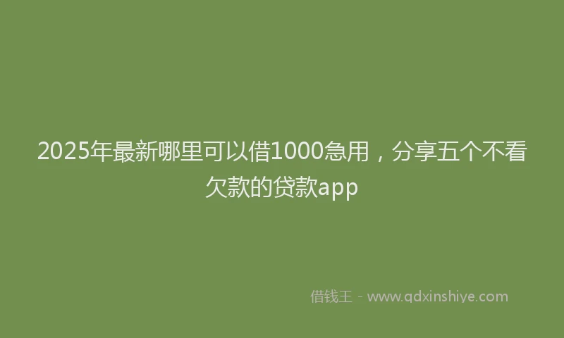 2025年最新哪里可以借1000急用，分享五个不看欠款的贷款app
