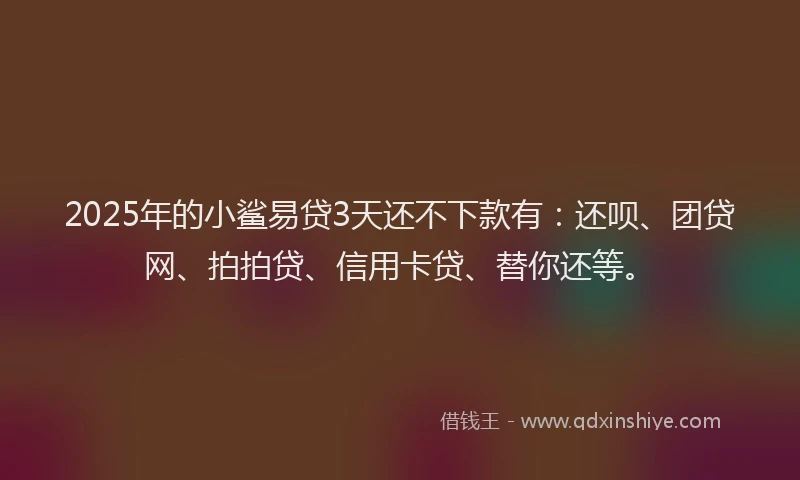 2025年的小鲨易贷3天还不下款有：还呗、团贷网、拍拍贷、信用卡贷、替你还等。