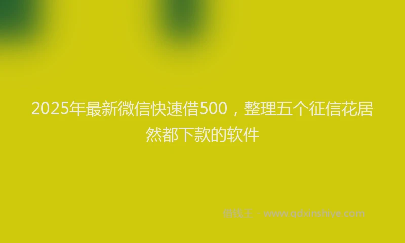 2025年最新微信快速借500，整理五个征信花居然都下款的软件