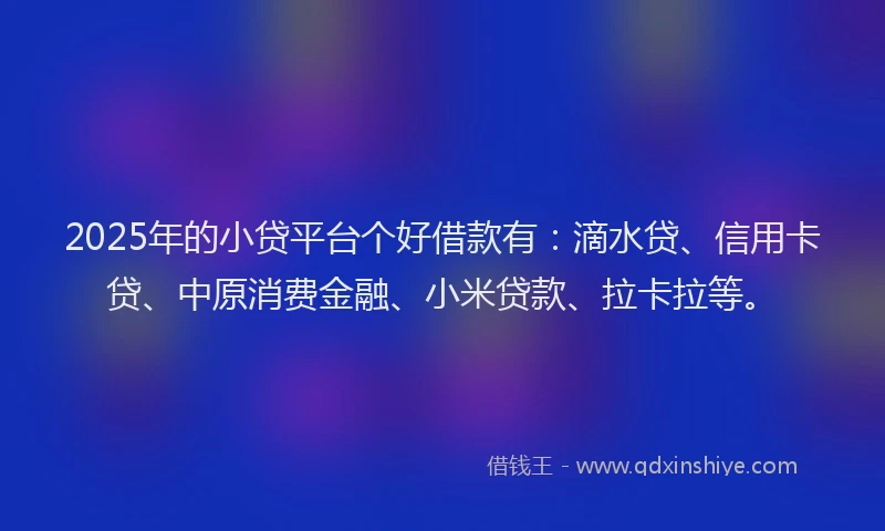 2025年的小贷平台个好借款有：滴水贷、信用卡贷、中原消费金融、小米贷款、拉卡拉等。