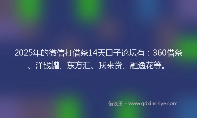 2025年的微信打借条14天口子论坛有：360借条、洋钱罐、东方汇、我来贷、融逸花等。