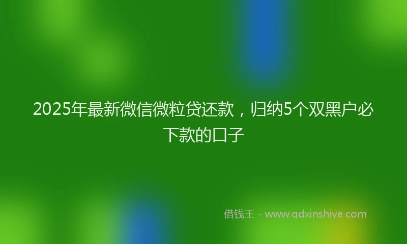 2025年最新微信微粒贷还款，归纳5个双黑户必下款的口子