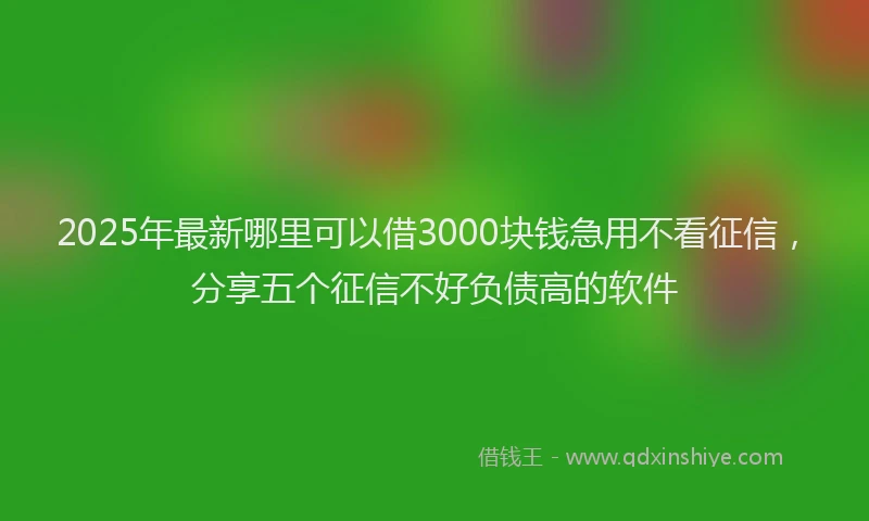 2025年最新哪里可以借3000块钱急用不看征信，分享五个征信不好负债高的软件