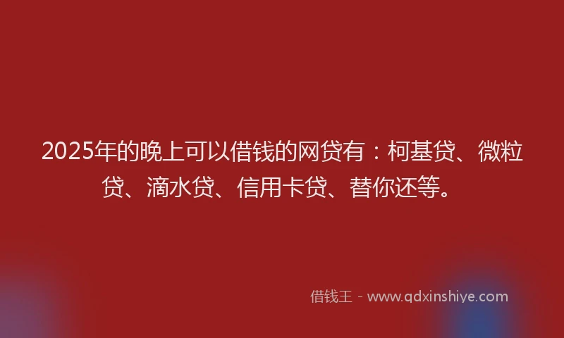 2025年的晚上可以借钱的网贷有：柯基贷、微粒贷、滴水贷、信用卡贷、替你还等。