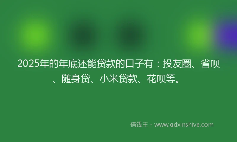 2025年的年底还能贷款的口子有：投友圈、省呗、随身贷、小米贷款、花呗等。