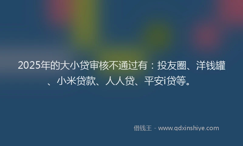 2025年的大小贷审核不通过有：投友圈、洋钱罐、小米贷款、人人贷、平安i贷等。