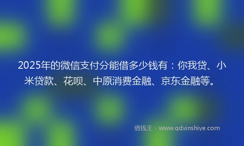 2025年的微信支付分能借多少钱有：你我贷、小米贷款、花呗、中原消费金融、京东金融等。