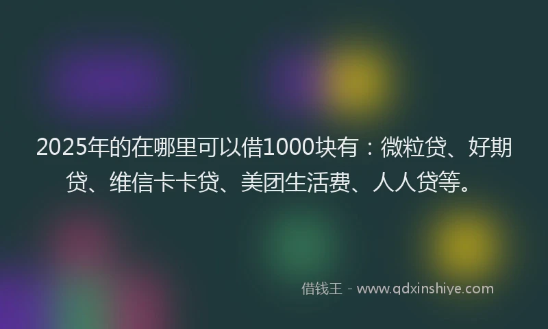 2025年的在哪里可以借1000块有：微粒贷、好期贷、维信卡卡贷、美团生活费、人人贷等。