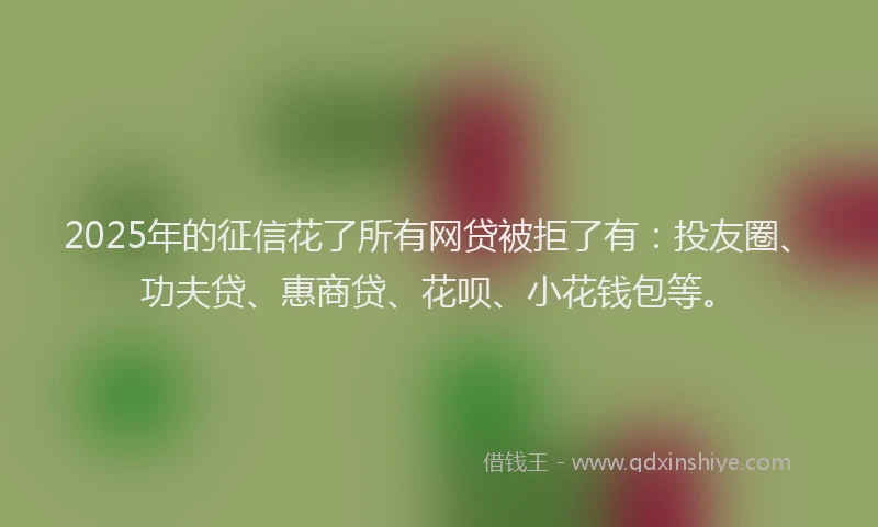 2025年的征信花了所有网贷被拒了有：投友圈、功夫贷、惠商贷、花呗、小花钱包等。