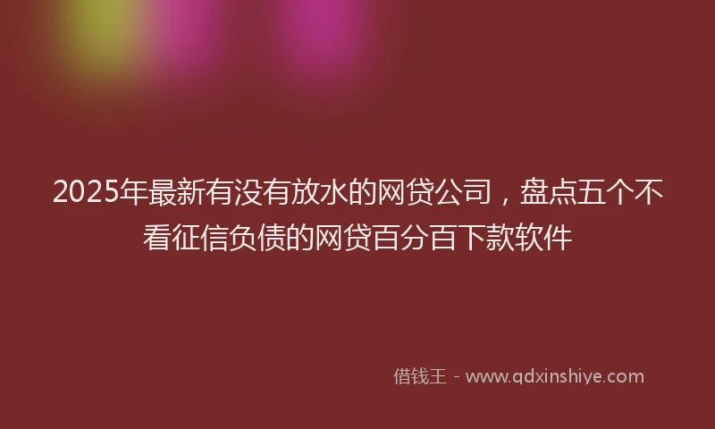 2025年最新有没有放水的网贷公司，盘点五个不看征信负债的网贷百分百下款软件