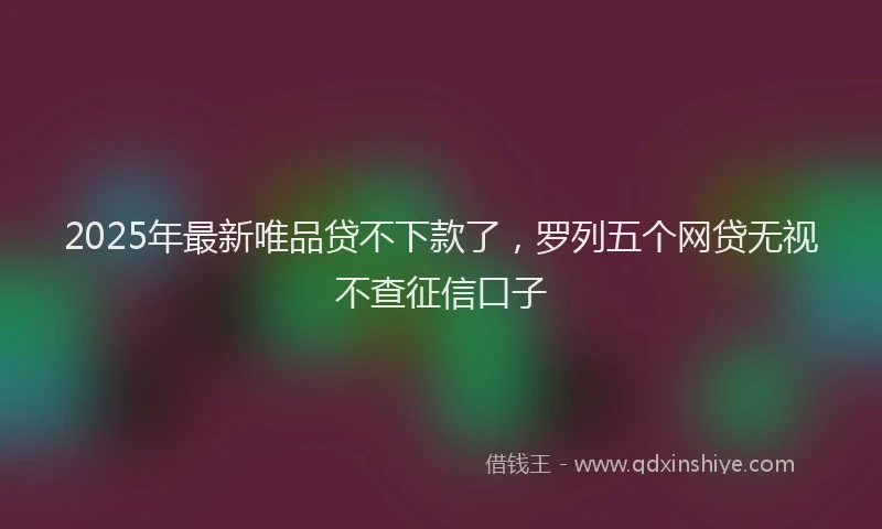 2025年最新唯品贷不下款了，罗列五个网贷无视不查征信口子
