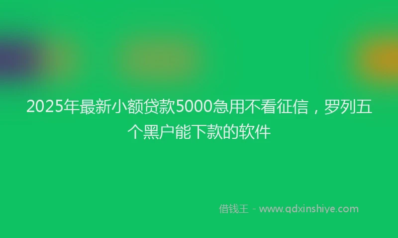 2025年最新小额贷款5000急用不看征信，罗列五个黑户能下款的软件
