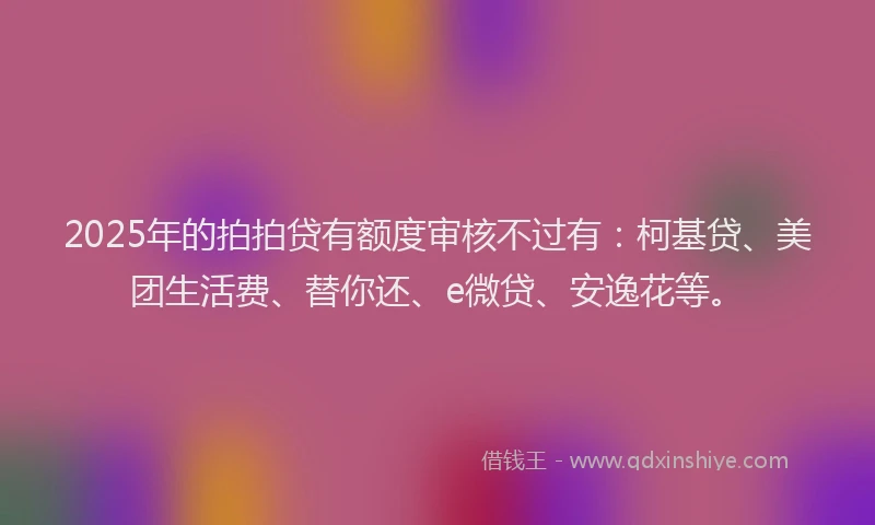 2025年的拍拍贷有额度审核不过有：柯基贷、美团生活费、替你还、e微贷、安逸花等。