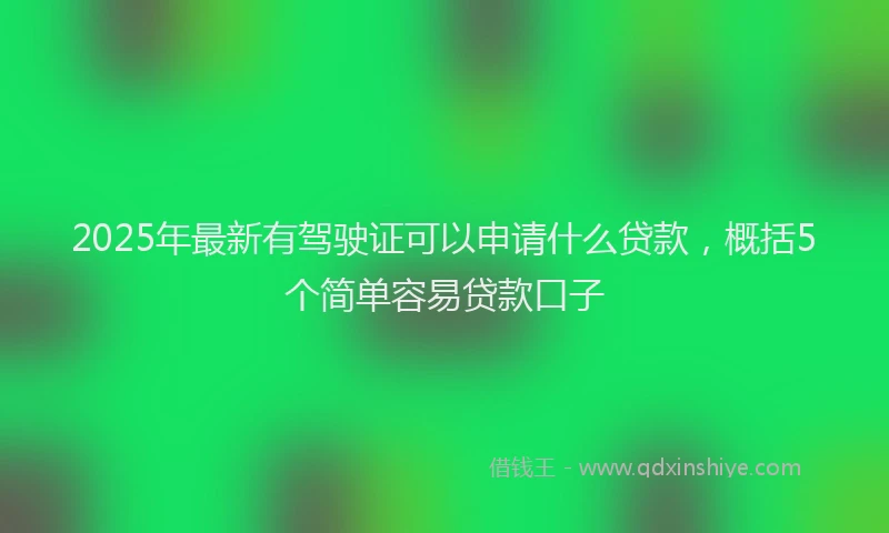 2025年最新有驾驶证可以申请什么贷款，概括5个简单容易贷款口子