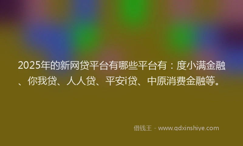 2025年的新网贷平台有哪些平台有：度小满金融、你我贷、人人贷、平安i贷、中原消费金融等。