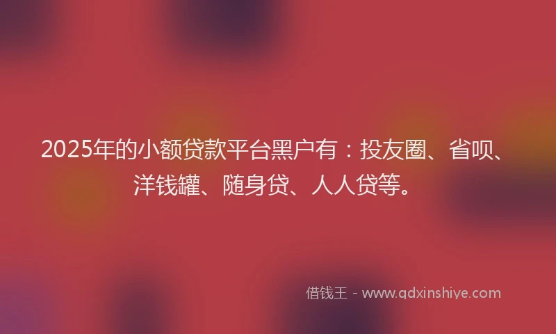 2025年的小额贷款平台黑户有：投友圈、省呗、洋钱罐、随身贷、人人贷等。
