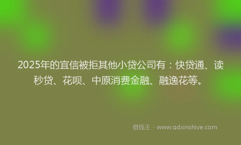 2025年的宜信被拒其他小贷公司有：快贷通、读秒贷、花呗、中原消费金融、融逸花等。