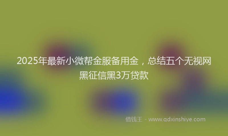 2025年最新小微帮金服备用金，总结五个无视网黑征信黑3万贷款