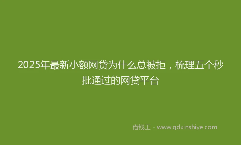 2025年最新小额网贷为什么总被拒，梳理五个秒批通过的网贷平台